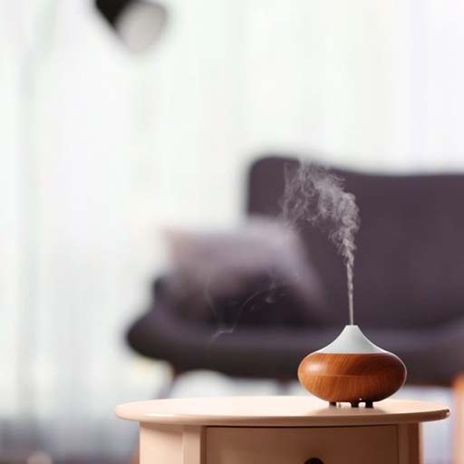 Ambientadores para el Hogar: Aromas que Transforman tus Espacios