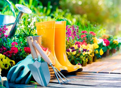 Jardín y Exterior: Herramientas y Accesorios para tus Espacios al Aire Libre